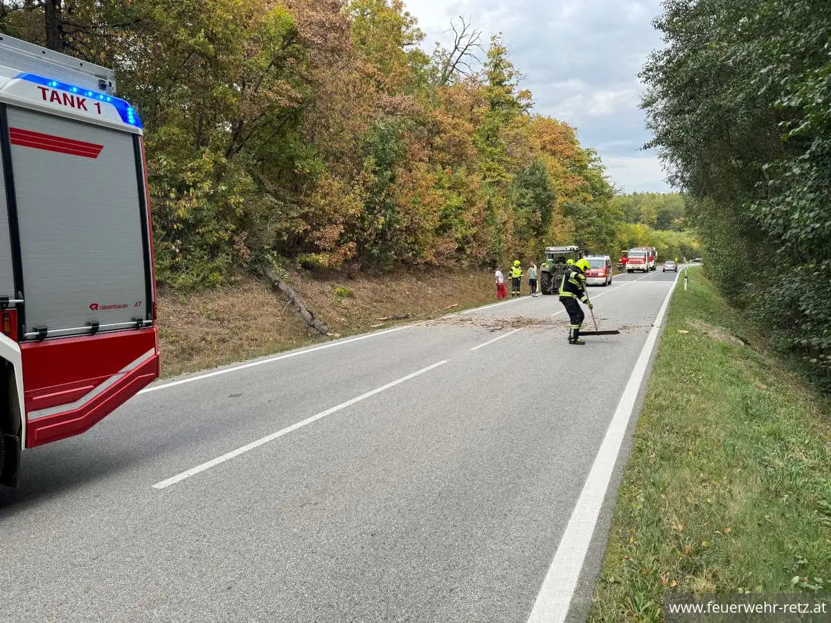 Foto 2, 16.10.2023, Technischer Einsatz - Sturmschaden - Baum auf Strasse 