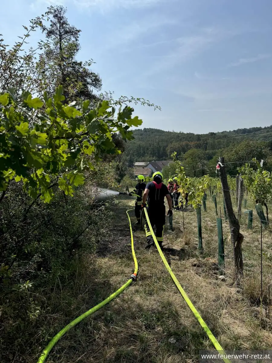 Foto 4, 04.09.2024, Einsatzreicher Tag für die Feuerwehr Retz - Flurbrand, Brandmelderalarm, Gasunfall