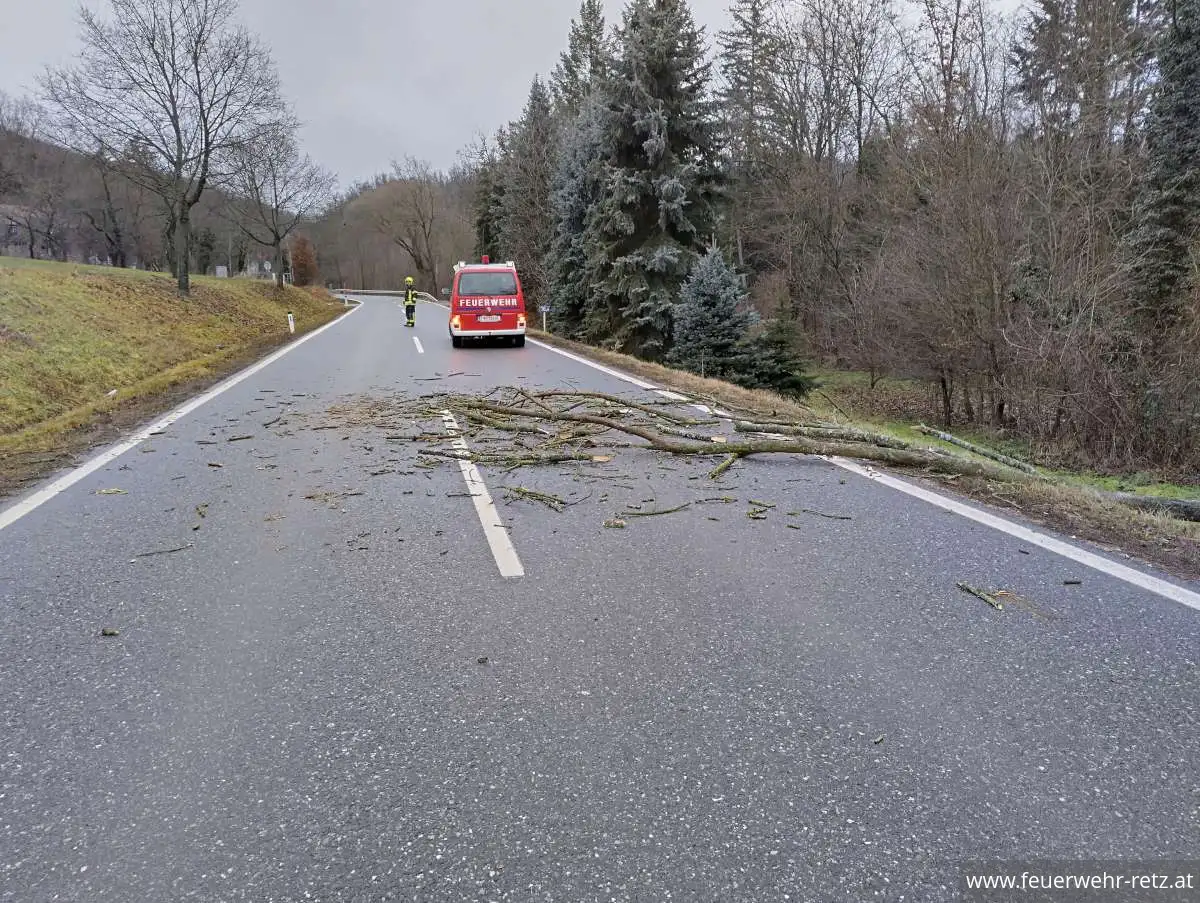 Foto 1, 22.12.2025, Technischer Einsatz - Baum auf Straße gestürzt Foto 1, 22.12.2025, Technischer Einsatz - Baum auf Straße gestürzt