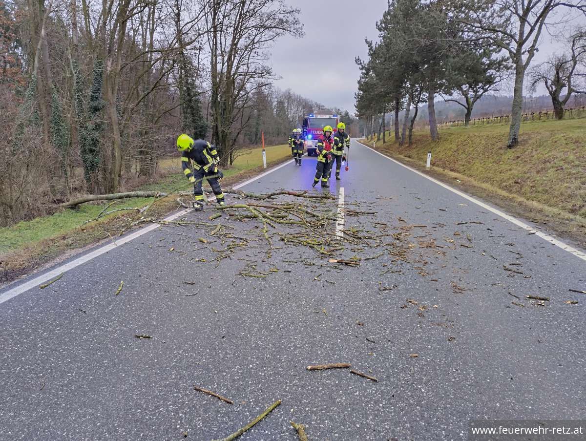 Foto 2, 22.12.2025, Technischer Einsatz - Baum auf Straße gestürzt