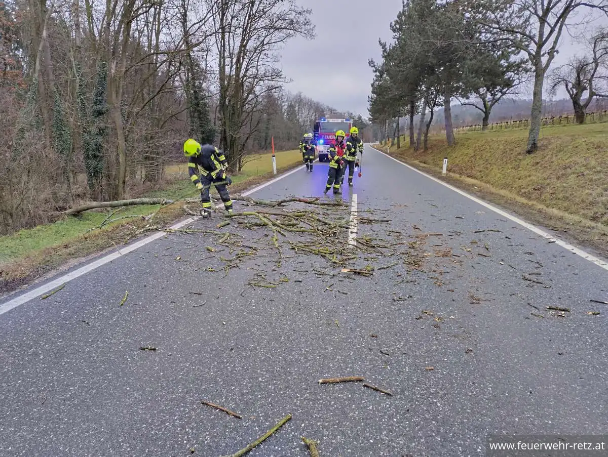 Foto 2, 22.12.2025, Technischer Einsatz - Baum auf Straße gestürzt Foto 2, 22.12.2025, Technischer Einsatz - Baum auf Straße gestürzt