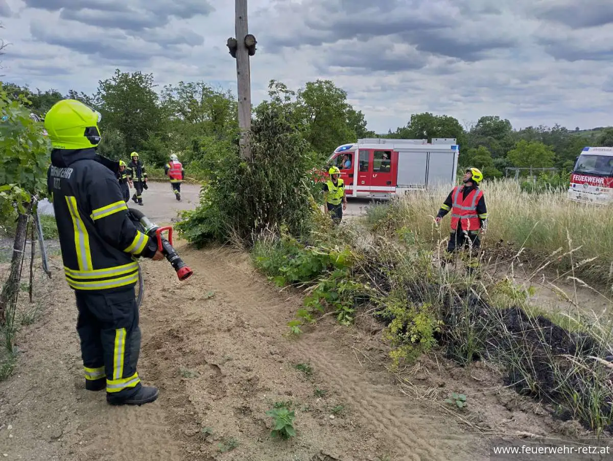 Foto 3, 24.06.2026, Brandeinsatz - Vegetationsbrand nach Mäharbeiten rasch gelöscht Foto 3, 24.06.2026, Brandeinsatz - Vegetationsbrand nach Mäharbeiten rasch gelöscht