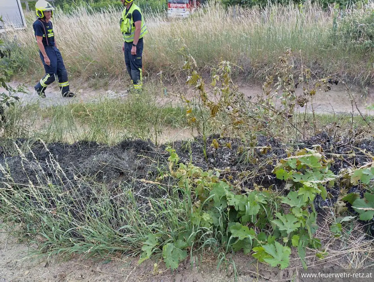 Foto 4, 24.06.2026, Brandeinsatz - Vegetationsbrand nach Mäharbeiten rasch gelöscht Foto 4, 24.06.2026, Brandeinsatz - Vegetationsbrand nach Mäharbeiten rasch gelöscht