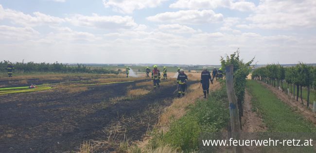 Foto 3, 25.07.2021, Brandeinsatz - Flurbrand auf Weizenfeld