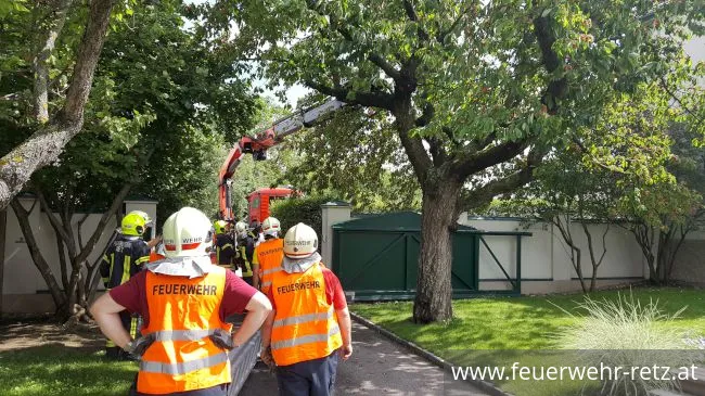 Foto 2, 21.06.2020, Technischer Einsatz - Sturmschaden - Baum drohte auf Mauer zu stürzen Foto 2, 21.06.2020, Technischer Einsatz - Sturmschaden - Baum drohte auf Mauer zu stürzen