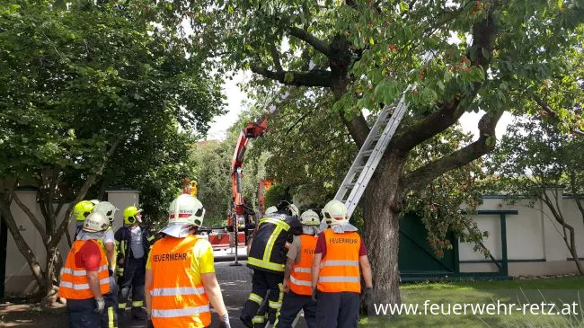 Foto 3, 21.06.2020, Technischer Einsatz - Sturmschaden - Baum drohte auf Mauer zu stürzen Foto 3, 21.06.2020, Technischer Einsatz - Sturmschaden - Baum drohte auf Mauer zu stürzen