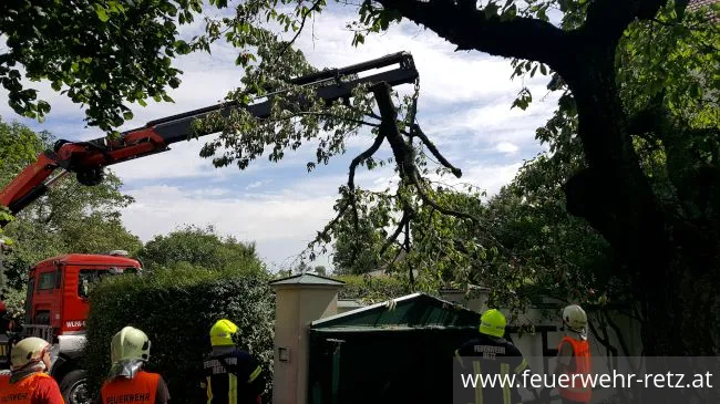 Foto 4, 21.06.2020, Technischer Einsatz - Sturmschaden - Baum drohte auf Mauer zu stürzen Foto 4, 21.06.2020, Technischer Einsatz - Sturmschaden - Baum drohte auf Mauer zu stürzen