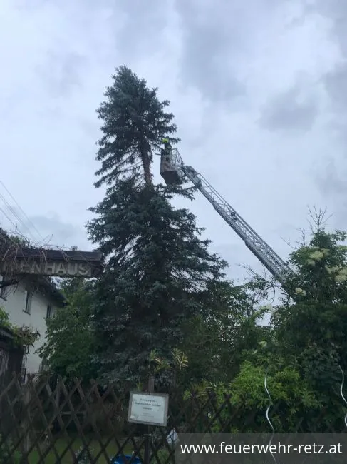 Foto 5, 08.06.2020, Technischer Einsatz - Baum droht auf Haus zu stürzen Foto 5, 08.06.2020, Technischer Einsatz - Baum droht auf Haus zu stürzen