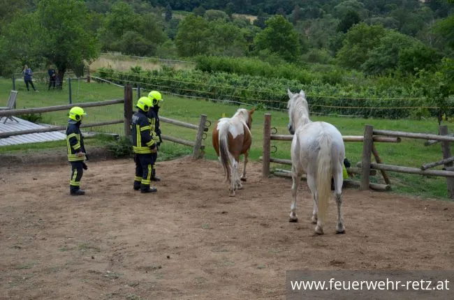 Foto 5, 30.07.2019, Übung - Brand Reithalle und Wald Foto 5, 30.07.2019, Übung - Brand Reithalle und Wald