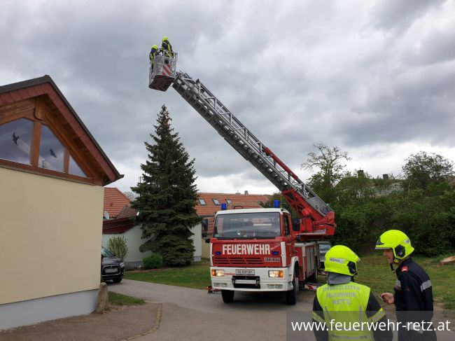 Foto 1, 27.04.2019, Technischer Einsatz - Katze von Baum gerettet Foto 1, 27.04.2019, Technischer Einsatz - Katze von Baum gerettet