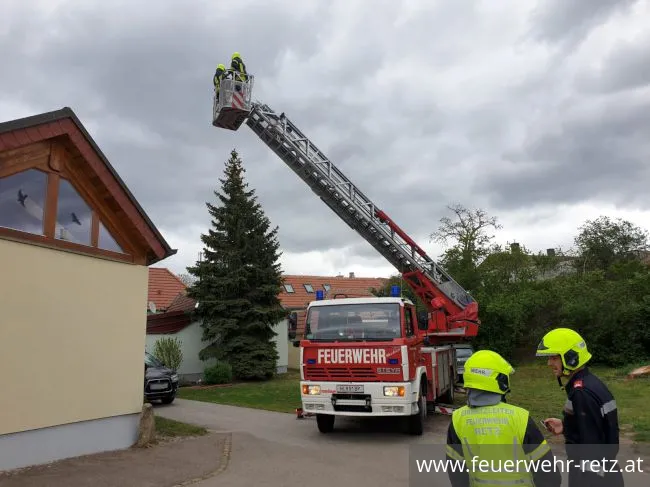 Foto 1, 27.04.2019, Technischer Einsatz - Katze von Baum gerettet Foto 1, 27.04.2019, Technischer Einsatz - Katze von Baum gerettet