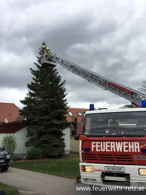 Foto 2, 27.04.2019, Technischer Einsatz - Katze von Baum gerettet Foto 2, 27.04.2019, Technischer Einsatz - Katze von Baum gerettet
