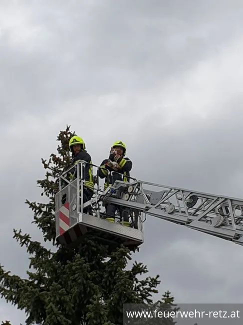 Foto 3, 27.04.2019, Technischer Einsatz - Katze von Baum gerettet Foto 3, 27.04.2019, Technischer Einsatz - Katze von Baum gerettet