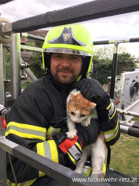 Foto 5, 27.04.2019, Technischer Einsatz - Katze von Baum gerettet Foto 5, 27.04.2019, Technischer Einsatz - Katze von Baum gerettet
