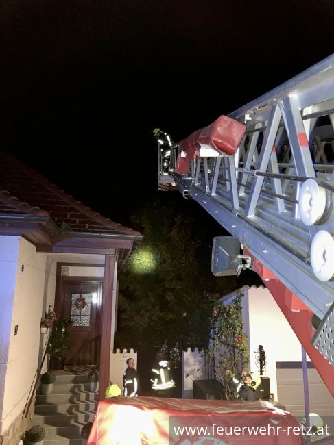 Foto 2, 18.10.2021, Technischer Einsatz - Katze von Baum gerettet