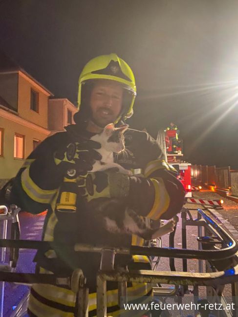 Foto 3, 18.10.2021, Technischer Einsatz - Katze von Baum gerettet