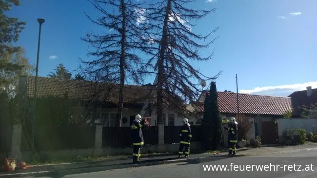 Foto 2, 29.10.2017, Technischer Einsatz - WLFA-K bei Sturmschadeneinsatz in Watzelsdorf Foto 2, 29.10.2017, Technischer Einsatz - WLFA-K bei Sturmschadeneinsatz in Watzelsdorf