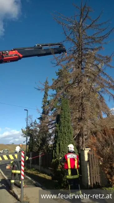 Foto 5, 29.10.2017, Technischer Einsatz - WLFA-K bei Sturmschadeneinsatz in Watzelsdorf Foto 5, 29.10.2017, Technischer Einsatz - WLFA-K bei Sturmschadeneinsatz in Watzelsdorf