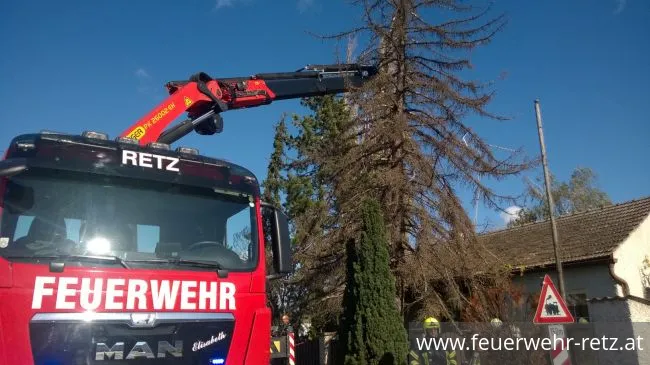 Foto 6, 29.10.2017, Technischer Einsatz - WLFA-K bei Sturmschadeneinsatz in Watzelsdorf Foto 6, 29.10.2017, Technischer Einsatz - WLFA-K bei Sturmschadeneinsatz in Watzelsdorf