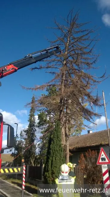 Foto 8, 29.10.2017, Technischer Einsatz - WLFA-K bei Sturmschadeneinsatz in Watzelsdorf Foto 8, 29.10.2017, Technischer Einsatz - WLFA-K bei Sturmschadeneinsatz in Watzelsdorf