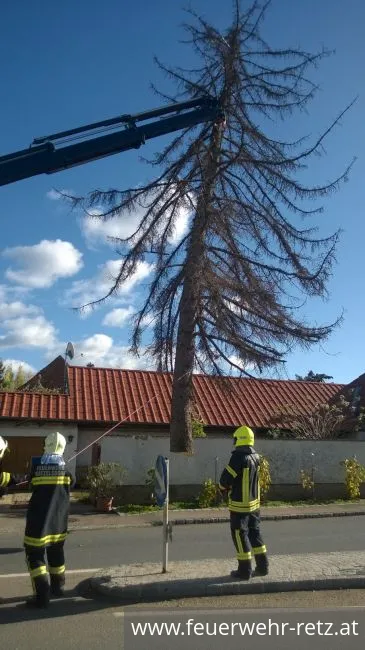 Foto 9, 29.10.2017, Technischer Einsatz - WLFA-K bei Sturmschadeneinsatz in Watzelsdorf Foto 9, 29.10.2017, Technischer Einsatz - WLFA-K bei Sturmschadeneinsatz in Watzelsdorf