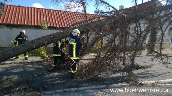 Foto 12, 29.10.2017, Technischer Einsatz - WLFA-K bei Sturmschadeneinsatz in Watzelsdorf Foto 12, 29.10.2017, Technischer Einsatz - WLFA-K bei Sturmschadeneinsatz in Watzelsdorf