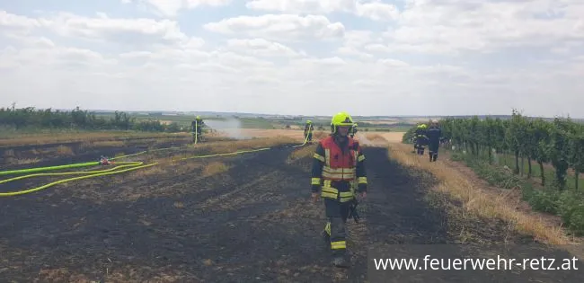 Foto 4, 25.07.2021, Brandeinsatz - Flurbrand auf Weizenfeld Foto 4, 25.07.2021, Brandeinsatz - Flurbrand auf Weizenfeld
