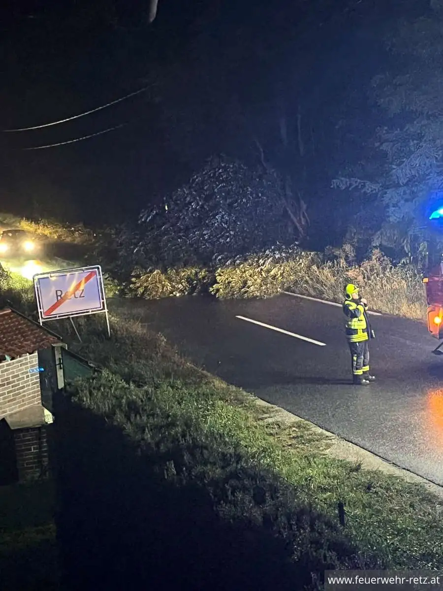 Foto 1, 19.08.2024, Technischer Einsatz - Sturmschaden - Baum auf Strasse