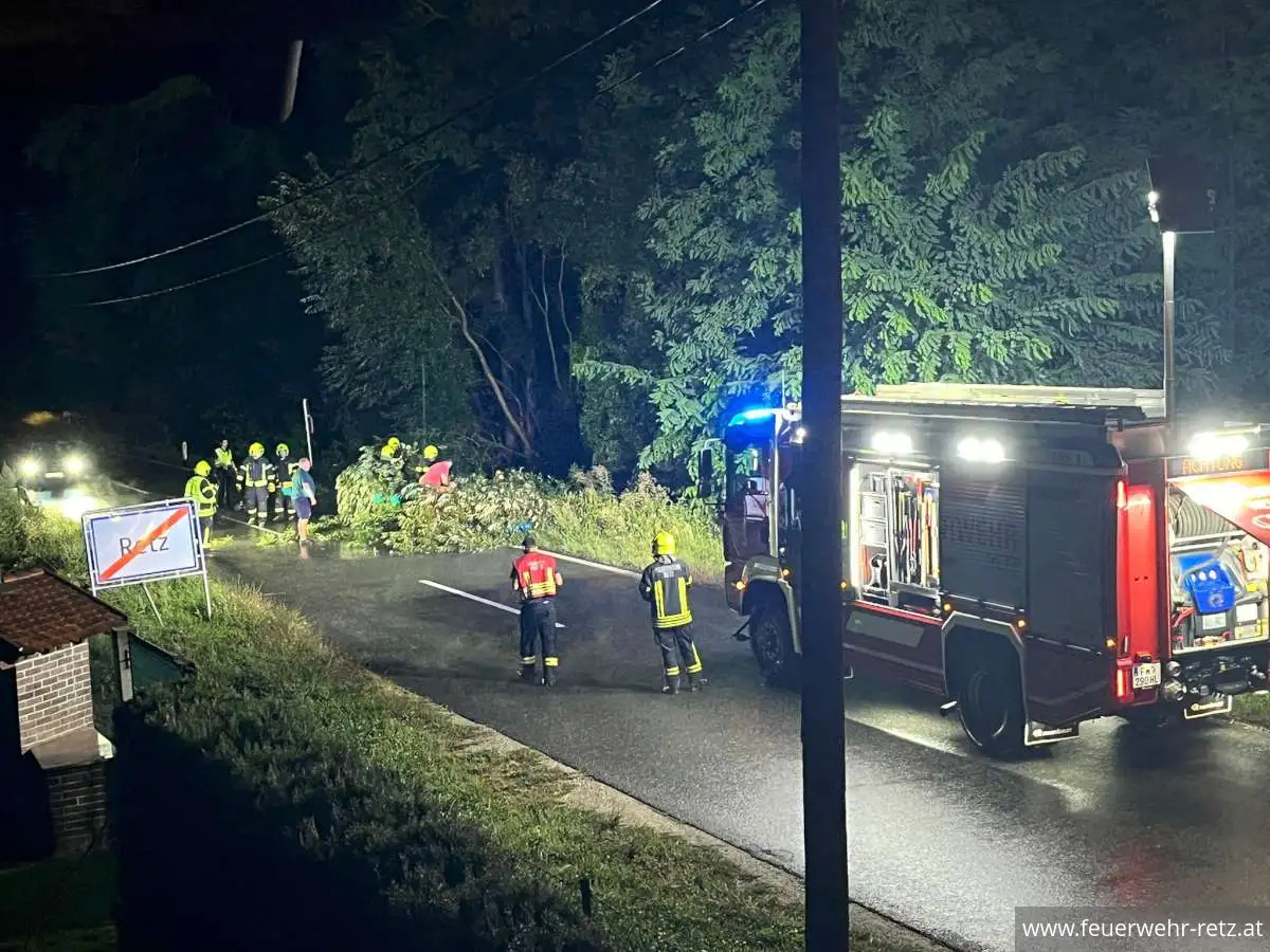 Foto 2, 19.08.2024, Technischer Einsatz - Sturmschaden - Baum auf Strasse