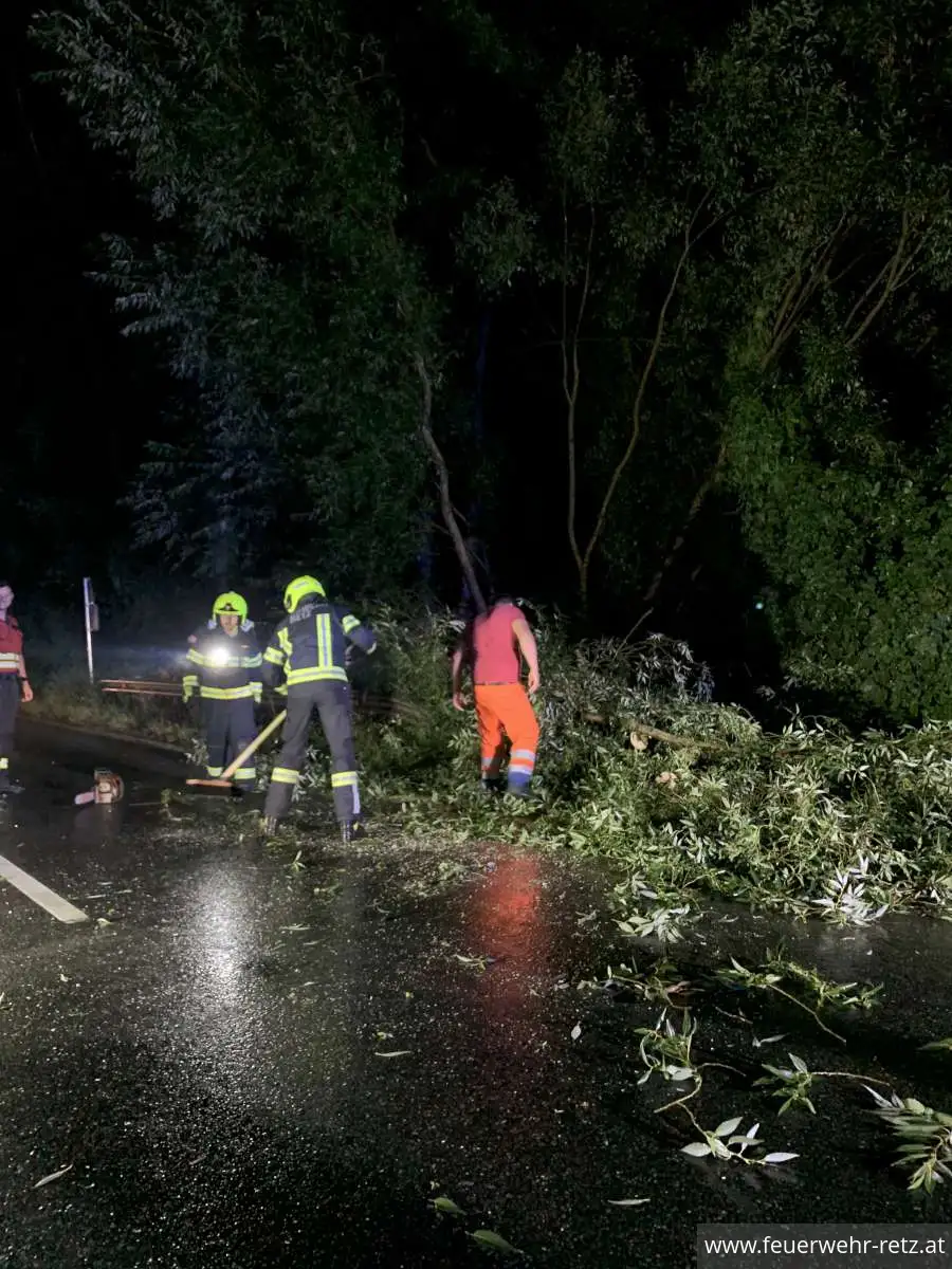 Foto 4, 19.08.2024, Technischer Einsatz - Sturmschaden - Baum auf Strasse