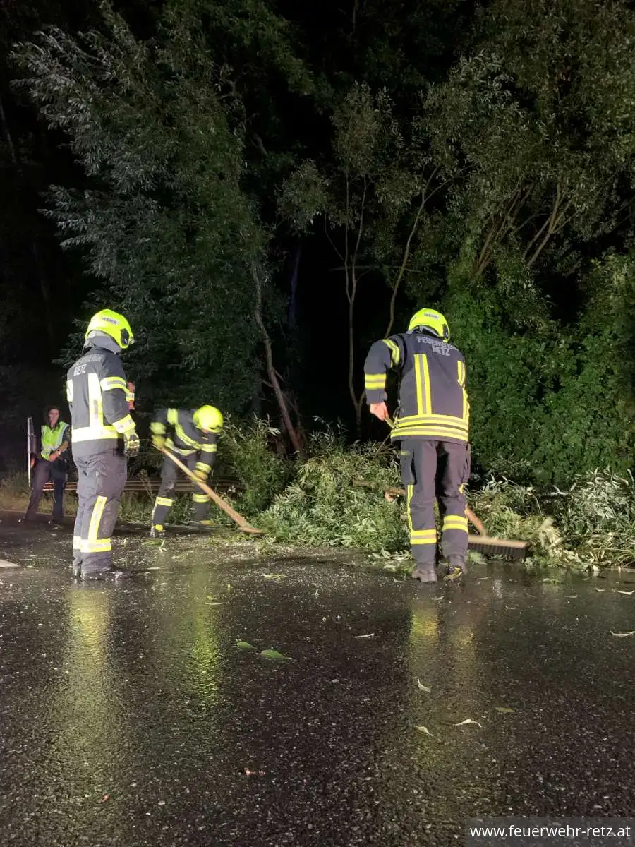 Foto 5, 19.08.2024, Technischer Einsatz - Sturmschaden - Baum auf Strasse