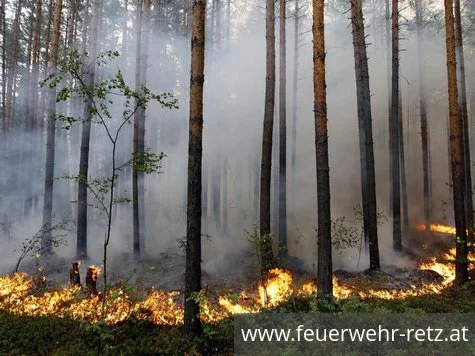 Foto 1, 30.04.2026, Waldbrandverordnung 2026 - In den Waldgebieten ist jegliches Feuerentzünden und Rauchen verboten. Foto 1, 30.04.2026, Waldbrandverordnung 2026 - In den Waldgebieten ist jegliches Feuerentzünden und Rauchen verboten.